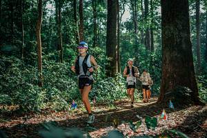 BIB: 
                            <button type="button" onclick="openModal(26130665)" class="btn btn-primary btn-sm float-right btn-popup" data-toggle="modal" data-target=".modal-high-quality">
                        <i class="fas fa-shopping-cart"></i> Add to Cart
                    </button>
                                            <button type="button" onclick="isThisMe(26130665, true)" class="btn btn-success btn-sm float-right btn-popup btn-isme hidden" data-toggle="tooltip" data-placement="bottom" title="นี่คือรูปของคุณใช่ไหม คลิกที่นี่เพื่อเอาเข้าอัลบั้ม">
                        <i class="fas fa-plus"></i> Add to album
                    </button>
                    <button type="button" onclick="isThisMe(26130665, false)" class="btn btn-warning btn-sm float-right btn-popup btn-isnotme hidden">
                        <i class="fas fa-ban"></i> Remove from album
                    </button>